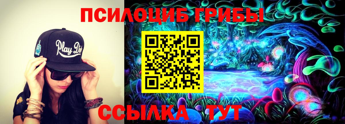Дивногорск  где купить наркоту  Вход с VPN  Псилоцибиновые грибы мухоморы 