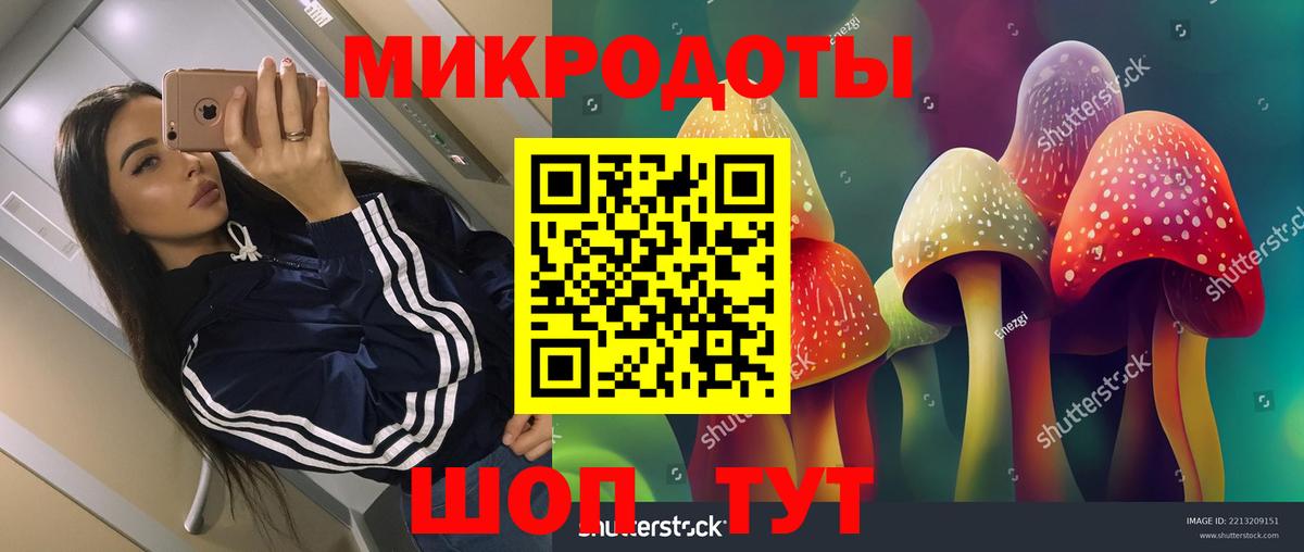 Галлюциногенные грибы GOLDEN TEACHER Дивногорск